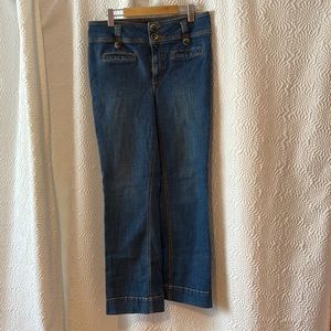 Pilcro and the Letterpress Jeans 31 tall
